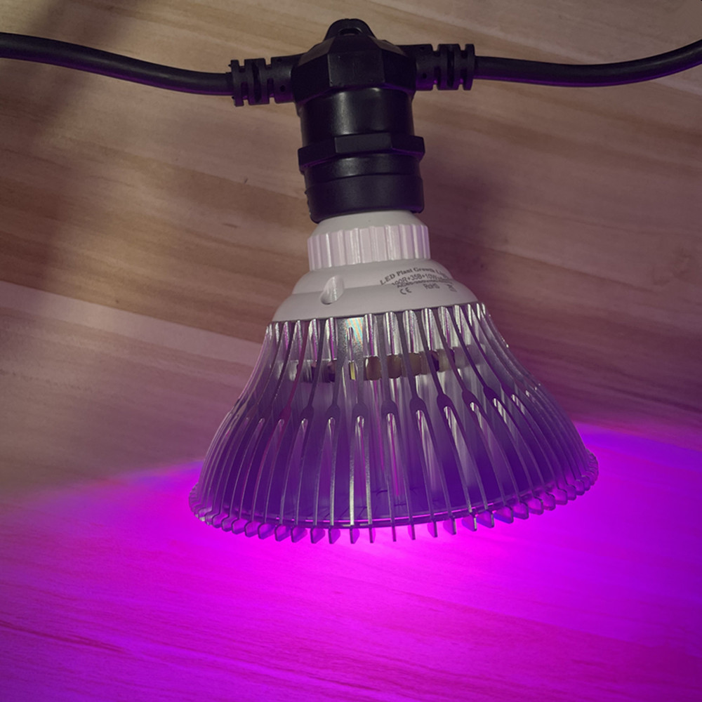 สายไฟ LED ยาว 10 เมตร เกรดเชิง - Lighting Wedding Outdoor บทวิจารณ์และราคา